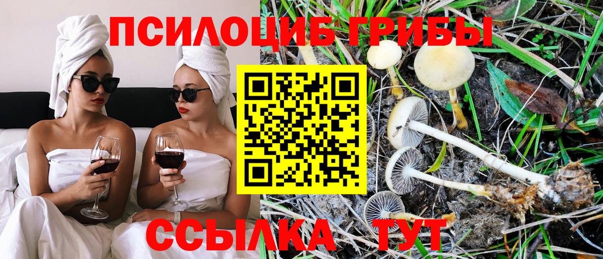 Псилоцибиновые грибы ЛСД Вольск