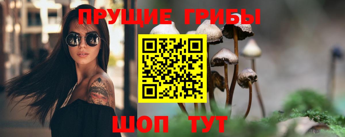 Псилоцибиновые грибы GOLDEN TEACHER  Псилоцибиновые грибы ЛСД  Вход с VPN  Вольск 
